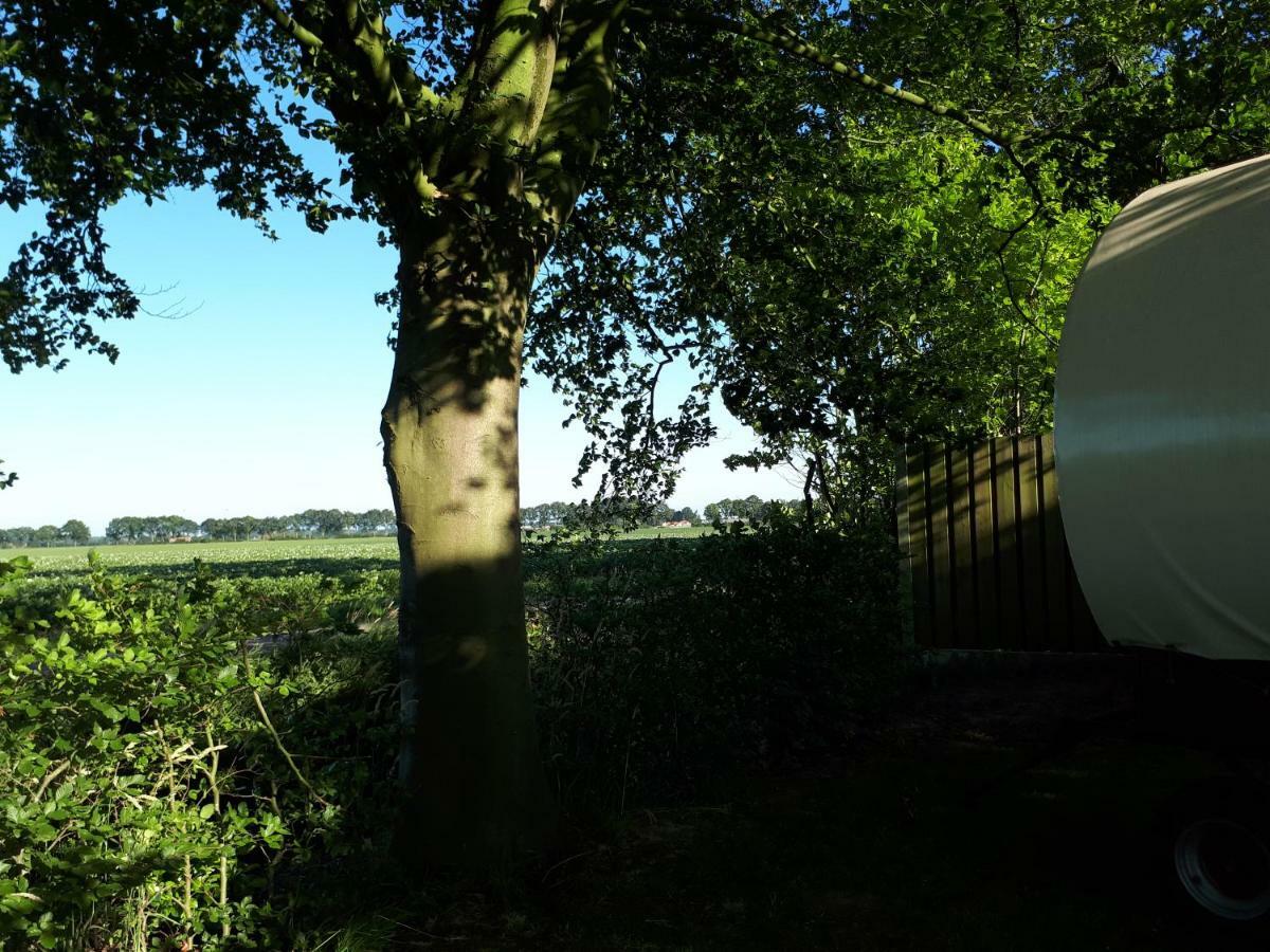 Irish Bowtop Op Het Platteland Van Huize Ouwervelden Wouwsche Plantage Exterior foto